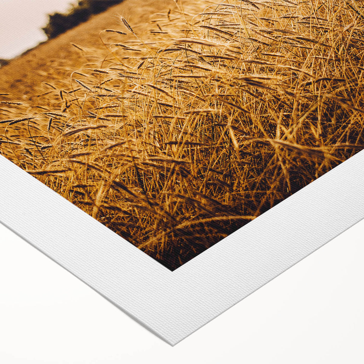 Golden Wheat Field Rustic Wall Art - Farmhouse Nature Decor for Homes