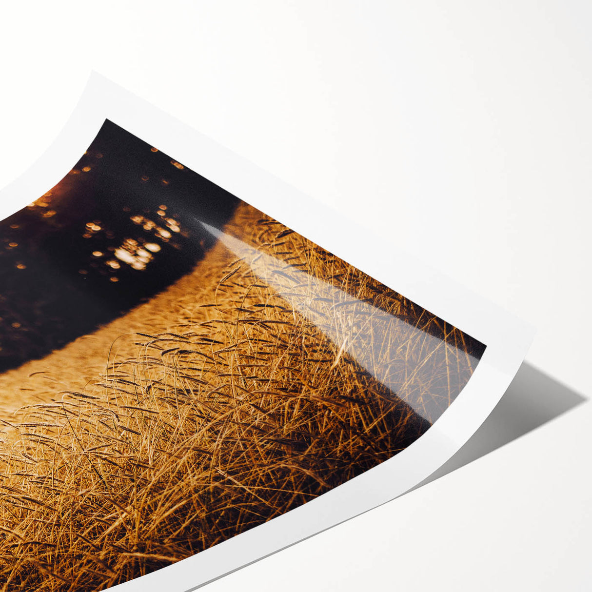 Golden Wheat Field Rustic Wall Art - Farmhouse Nature Decor for Homes