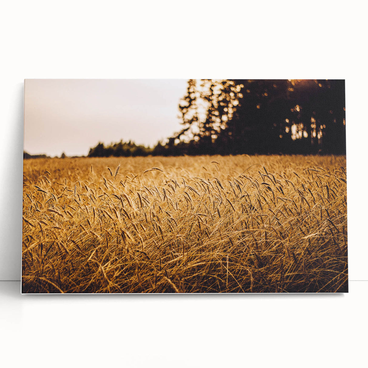 Golden Wheat Field Rustic Wall Art - Farmhouse Nature Decor for Homes