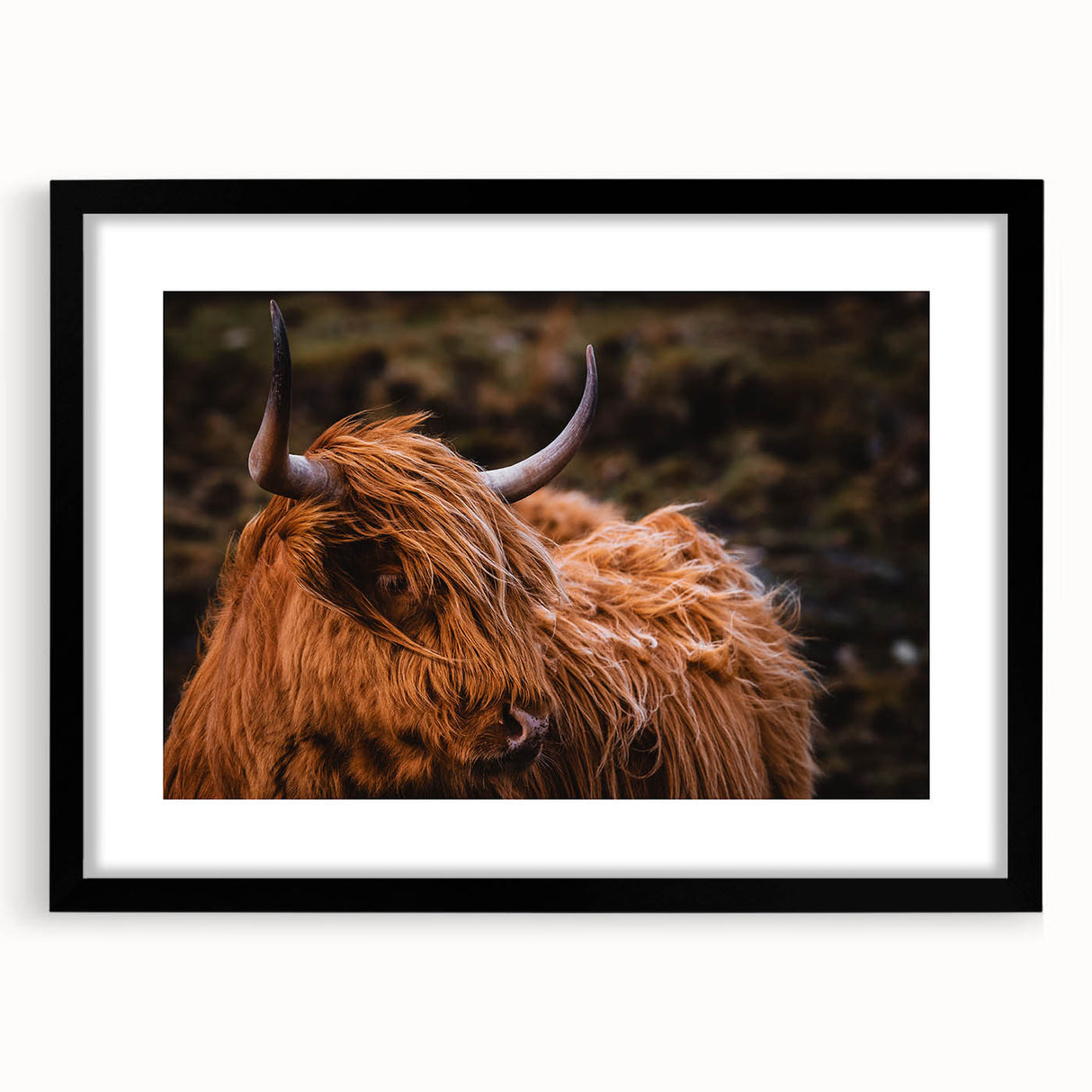 Highland Cow Rustic Wall Art - Farmhouse Decor for Cozy Countryside Homes