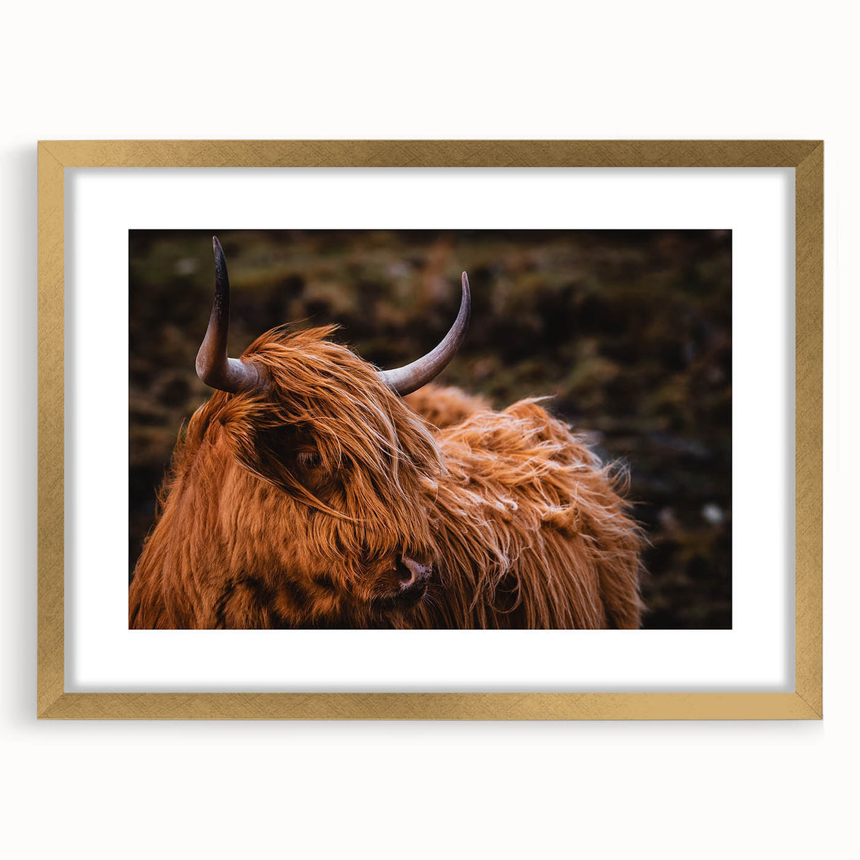 Highland Cow Rustic Wall Art - Farmhouse Decor for Cozy Countryside Homes