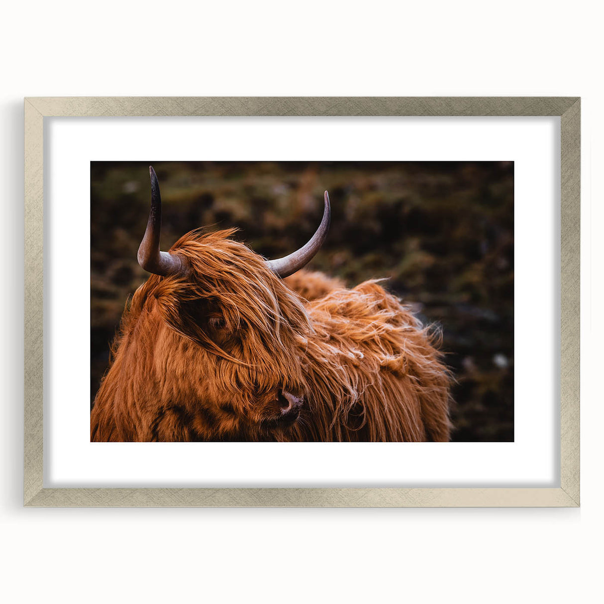Highland Cow Rustic Wall Art - Farmhouse Decor for Cozy Countryside Homes