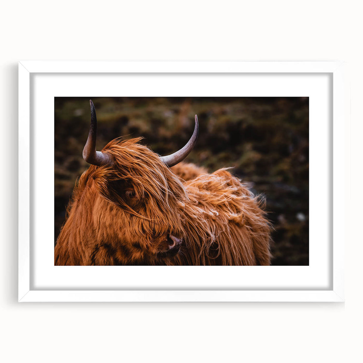 Highland Cow Rustic Wall Art - Farmhouse Decor for Cozy Countryside Homes