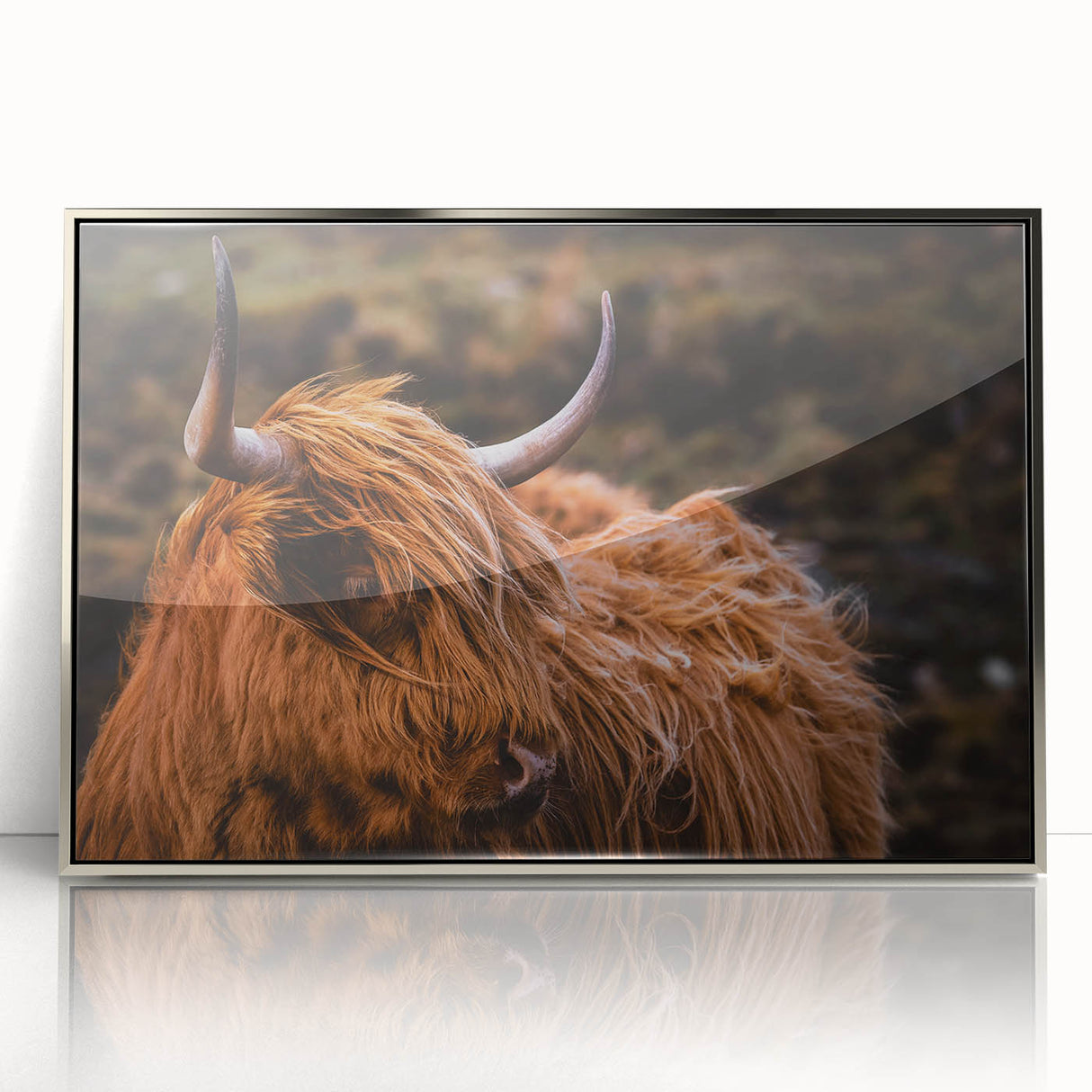 Highland Cow Rustic Wall Art - Farmhouse Decor for Cozy Countryside Homes