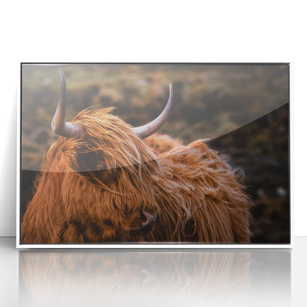 Highland Cow Rustic Wall Art - Farmhouse Decor for Cozy Countryside Homes