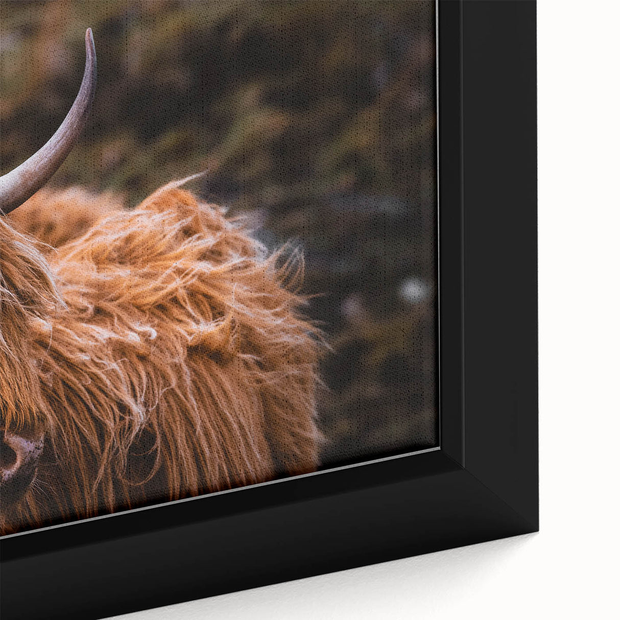 Highland Cow Rustic Wall Art - Farmhouse Decor for Cozy Countryside Homes