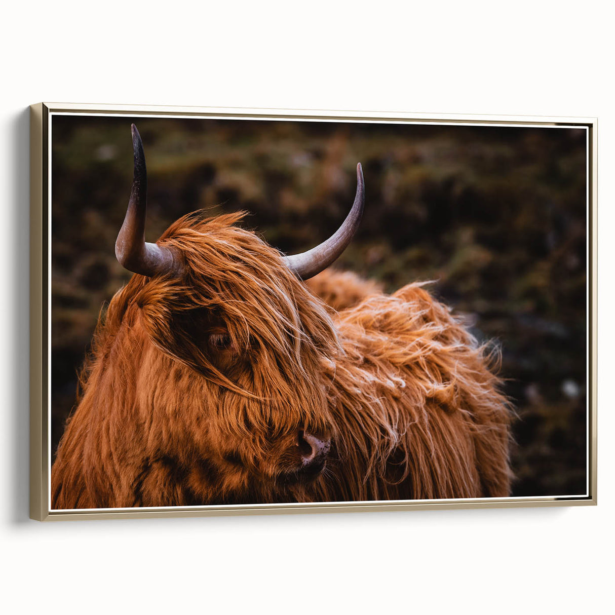 Highland Cow Rustic Wall Art - Farmhouse Decor for Cozy Countryside Homes