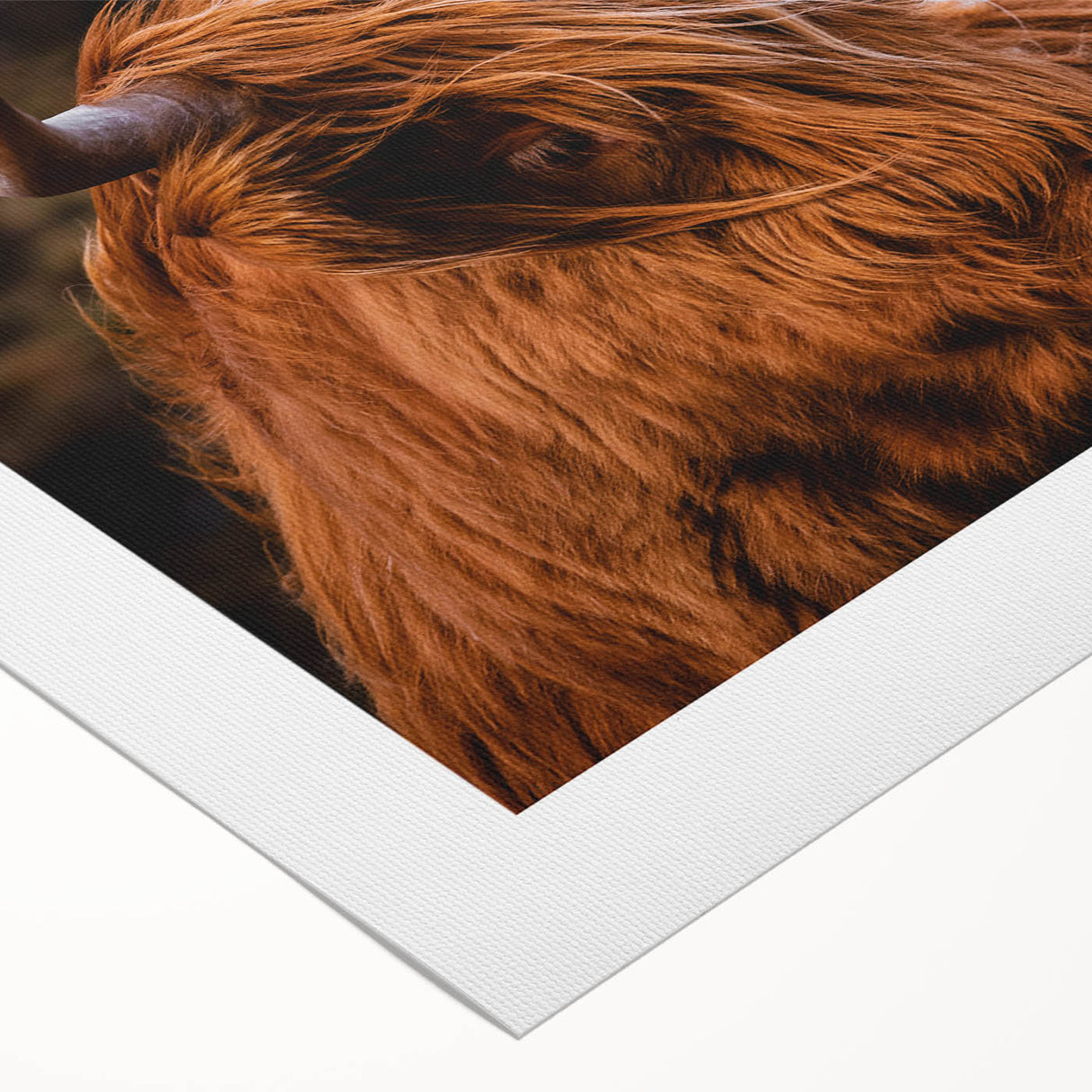 Highland Cow Rustic Wall Art - Farmhouse Decor for Cozy Countryside Homes