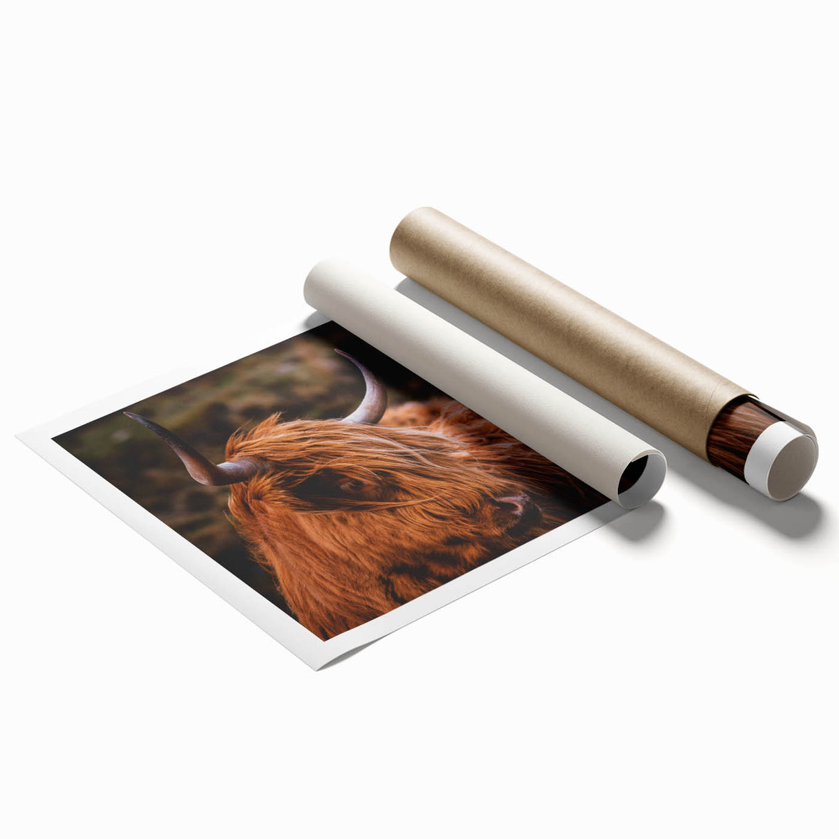 Highland Cow Rustic Wall Art - Farmhouse Decor for Cozy Countryside Homes