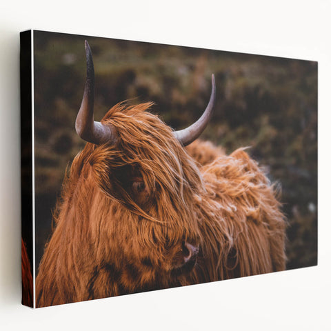 Highland Cow Rustic Wall Art - Farmhouse Decor for Cozy Countryside Homes