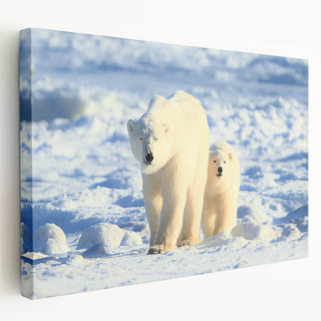 Stretched canvas wall art featuring a detailed polar bear design, showcasing its majestic fur and icy background, perfect for wildlife enthusiasts and home decor.