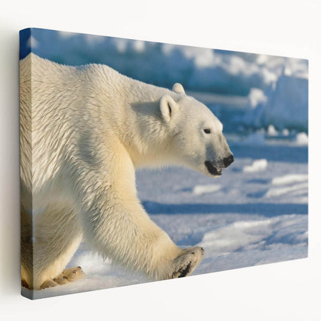 Stretched canvas wall art showcasing a serene polar bear design, featuring soft whites and blues, ideal for nature-themed decor and wildlife enthusiasts.
