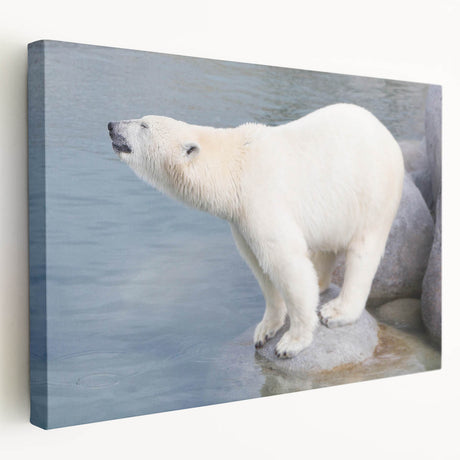 Stretched canvas wall art featuring a serene polar bear design, showcasing intricate details and soft colors, perfect for nature-inspired home decor.