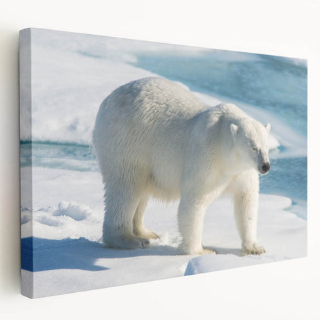 Stretched canvas showcasing a detailed polar bear design in a serene winter landscape, perfect for home decor or wildlife-themed art collections.