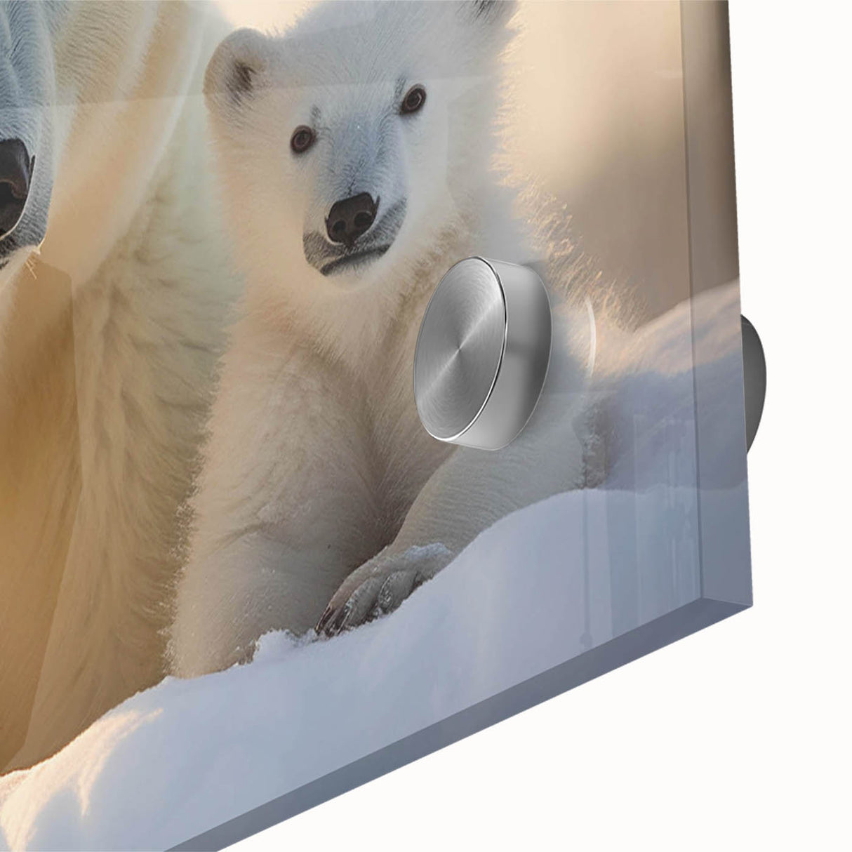 Close-up of a stunning polar bear design wall art piece, showcasing vibrant colors and intricate details, printed on high-quality acrylic glass for a modern decor touch. Perfect for wildlife enthusiasts and contemporary home styling.