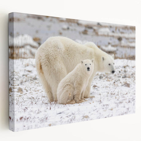 Stretched canvas wall art depicting a polar bear in a serene winter setting, showcasing the animal's intricate details and vibrant colors, perfect for nature lovers.