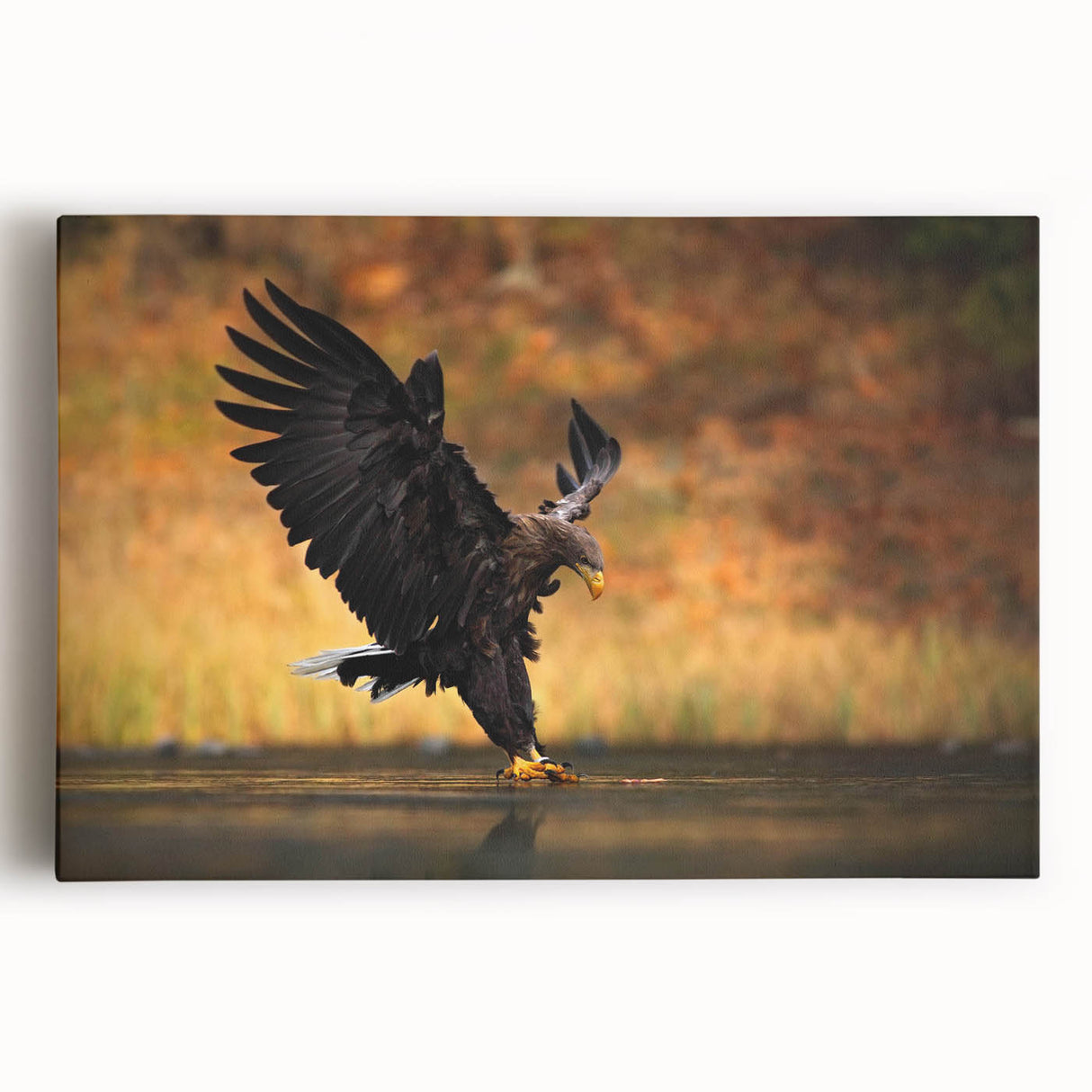 Stretched canvas wall art featuring a vibrant design of various birds in flight, showcasing rich colors and intricate details, perfect for bird lovers' decor.