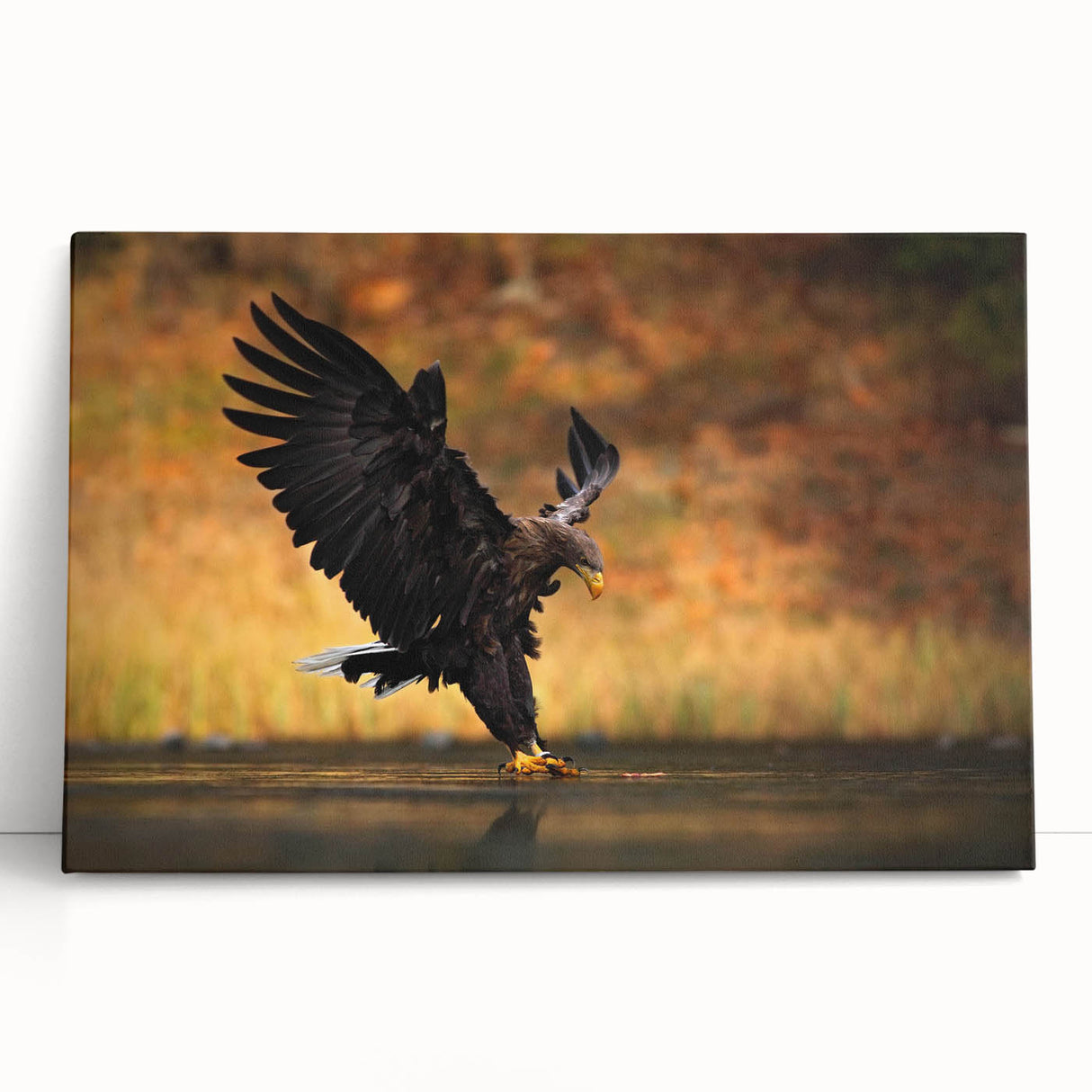 Stretched canvas wall art showcasing an intricate design of birds of prey, featuring vibrant colors and detailed textures, perfect for bird lovers and home decor enthusiasts.