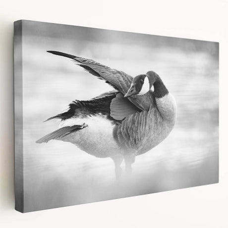 Stretched canvas wall art featuring a serene goose design, showcasing detailed feathers and soft colors, perfect for enhancing home decor and nature-themed spaces.