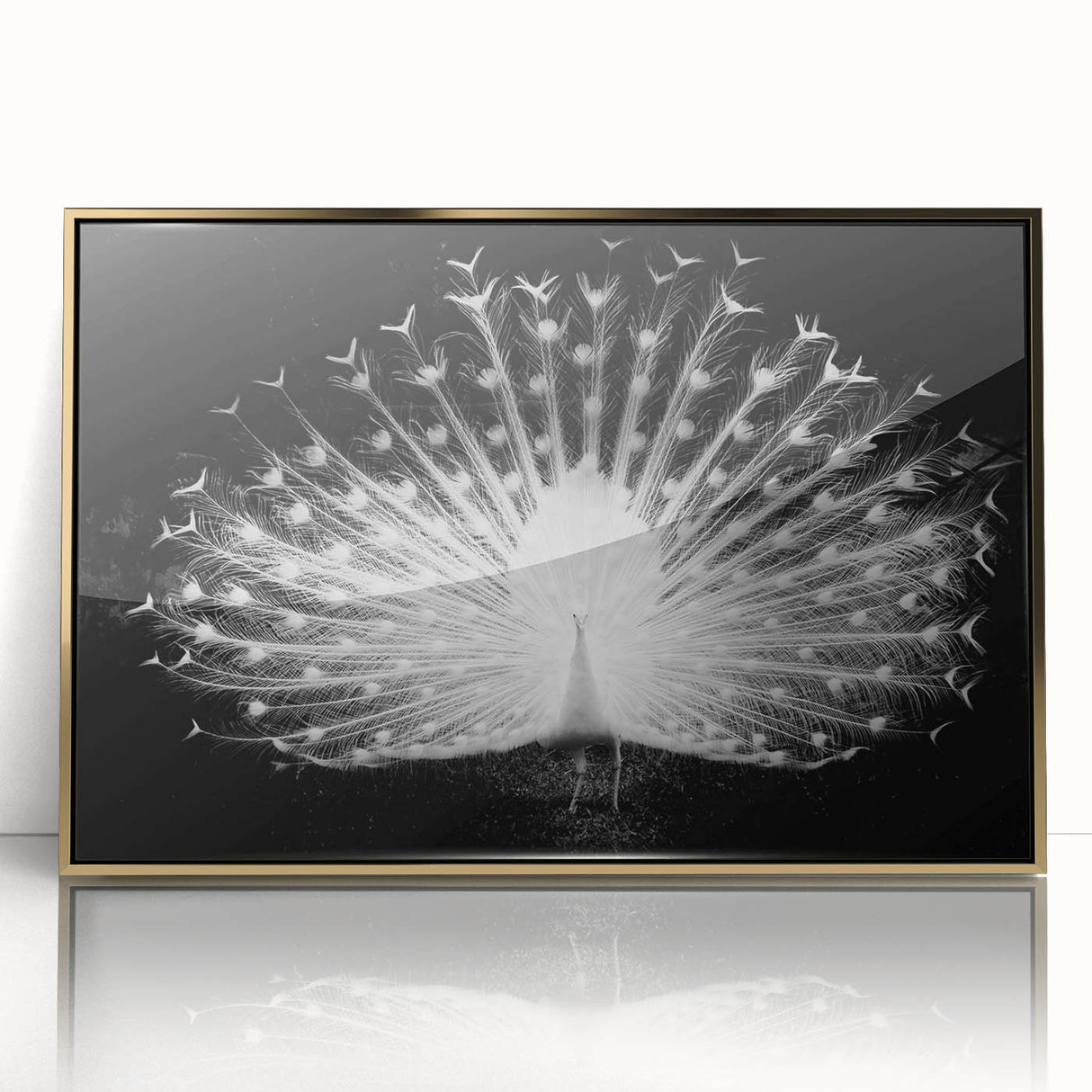 Framed wall art featuring an elegant peacock design with vibrant colors and gold accents, ideal for enhancing modern decor in living spaces or offices.