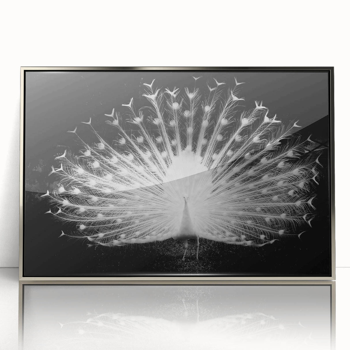 Framed wall art featuring an elegant peacock design with vibrant colors and intricate details, set in a silver frame, perfect for enhancing modern home decor.