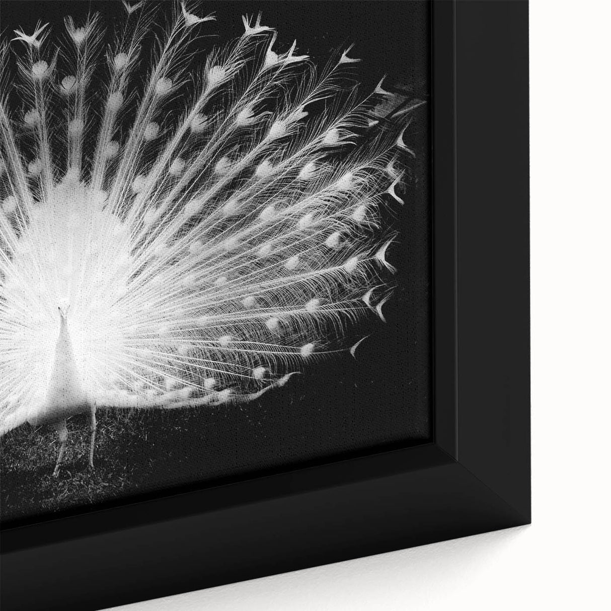 Close-up of a vibrant peacock-themed wall art canvas featuring intricate feather designs in shades of blue and green, elegantly framed for home decor.