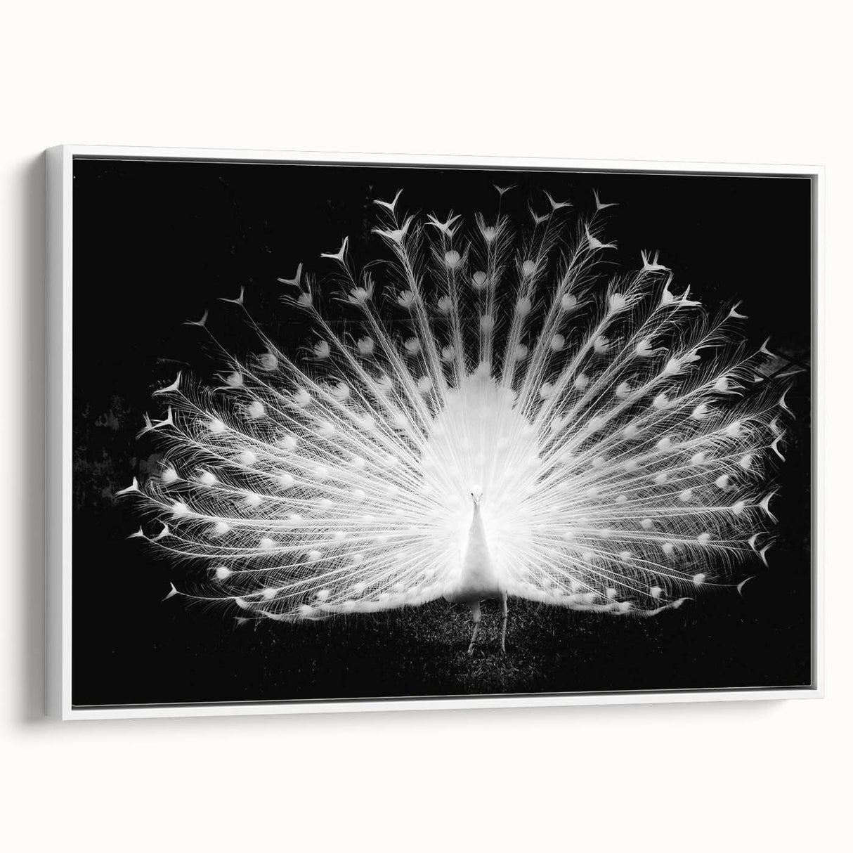 Framed wall art featuring an elegant peacock design in vibrant colors, showcased from a side view, perfect for adding a touch of sophistication to home decor.