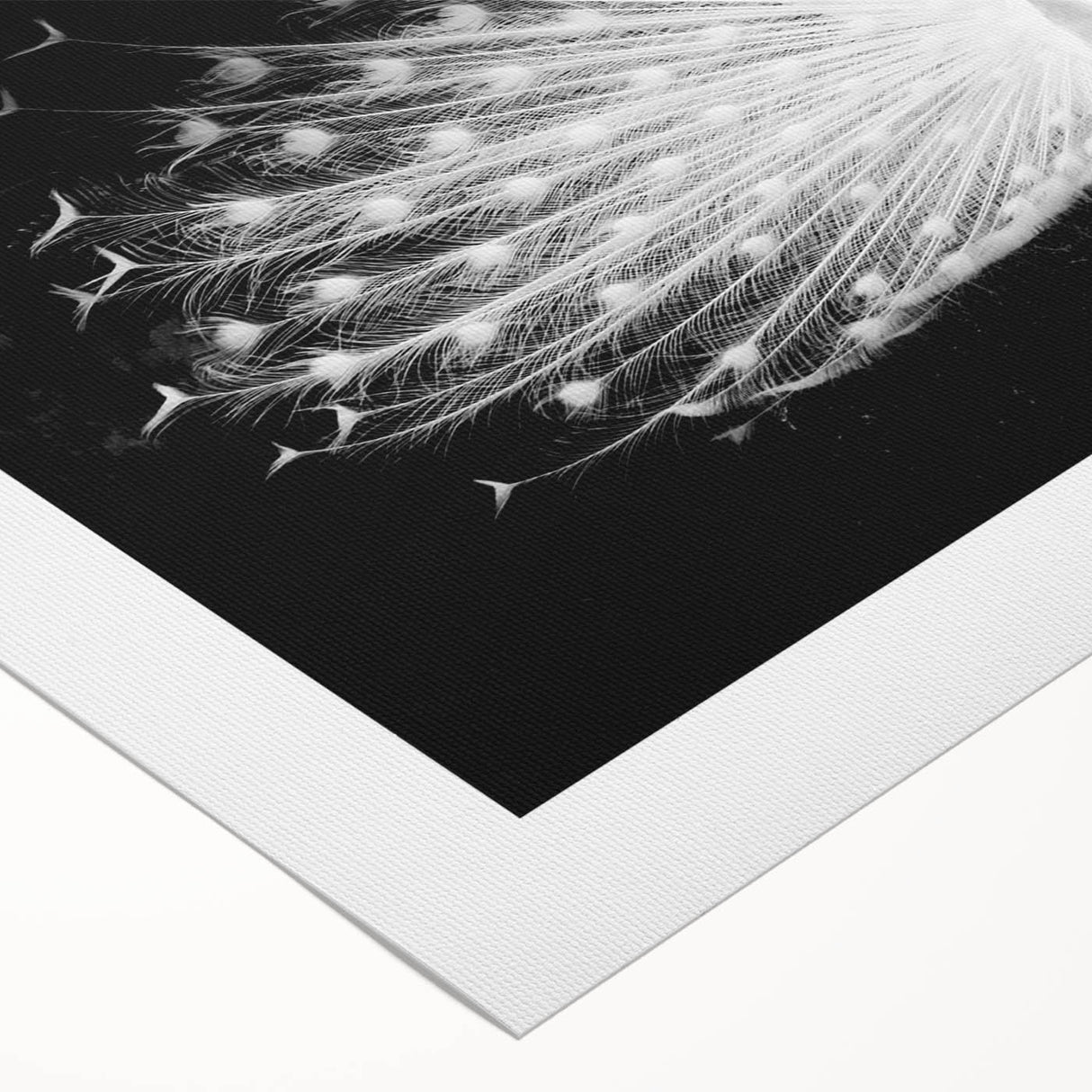 Vibrant rolled canvas wall art featuring an intricate peacock design, showcasing vivid colors and detailed feathers, perfect for enhancing any living space.