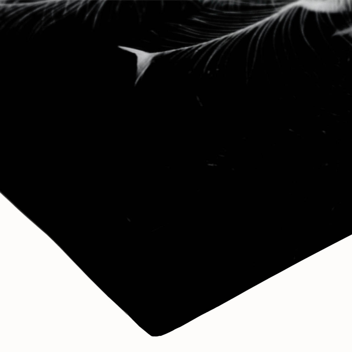 Vibrant close-up of a peacock design stretched canvas wall art piece showcasing intricate details in rich blues and greens, perfect for enhancing any home decor.