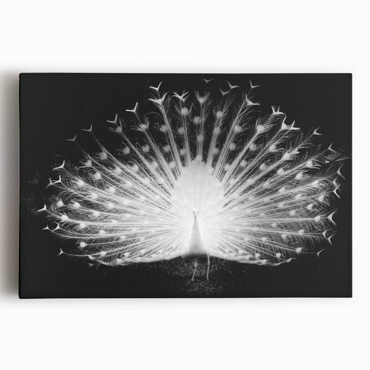 Stretched canvas wall art featuring a vibrant peacock design with intricate details in blue and green hues, perfect for adding elegance to any room decor.