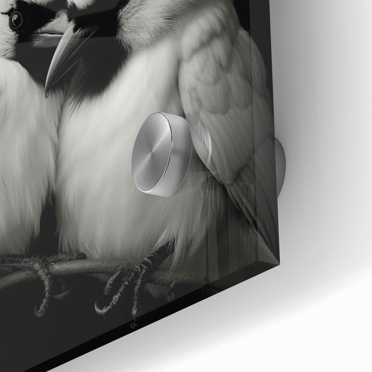 Vibrant close-up of a tropical birds wall art design, showcasing colorful feathers and intricate details on acrylic glass, perfect for home decor enthusiasts.