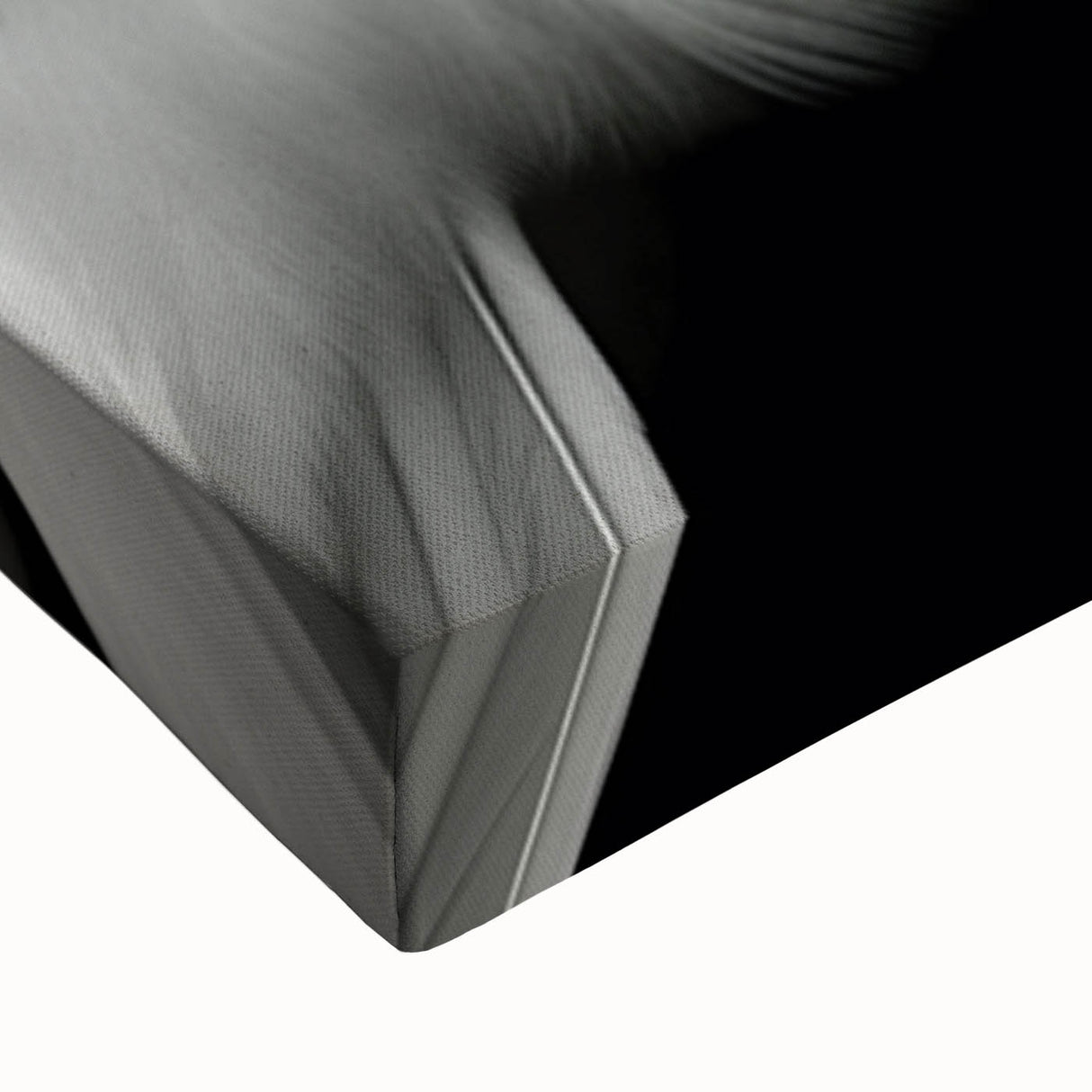 Close-up view of a vibrant tropical birds wall art design on stretched canvas, showcasing detailed feathers and bright colors, ideal for home decor.