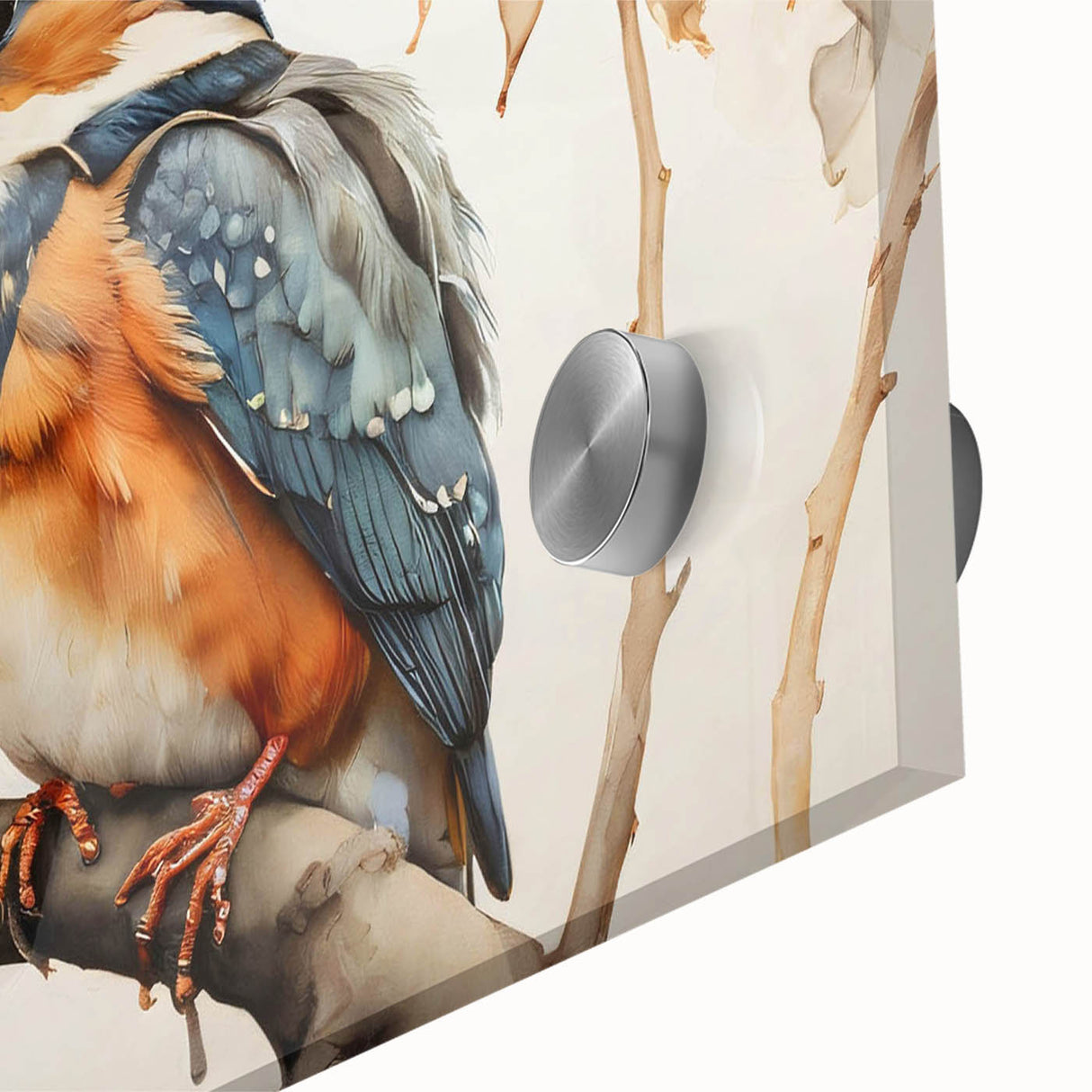 Close-up of vibrant tropical birds wall art design on acrylic glass, showcasing vivid colors and intricate details ideal for home decor enhancement.