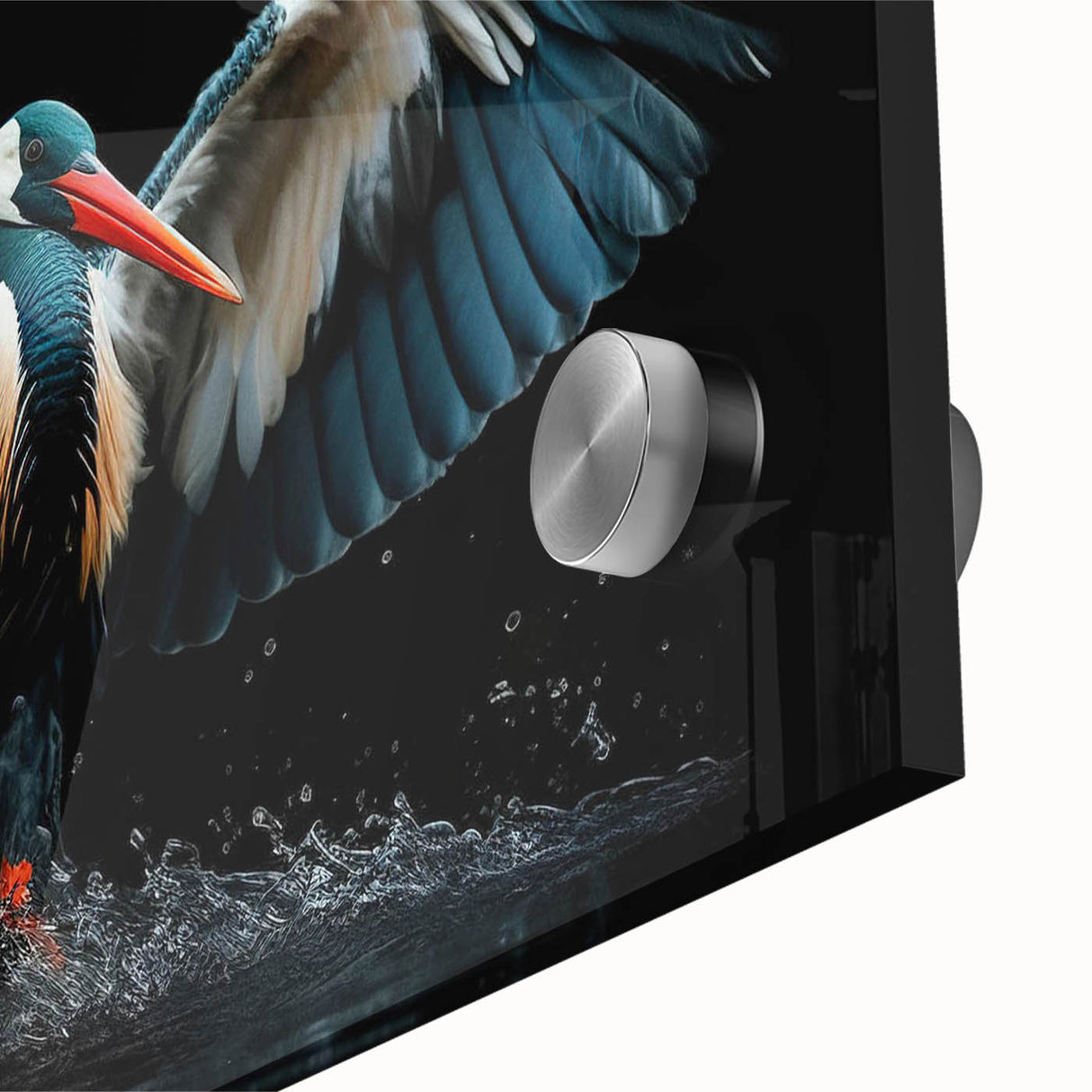 Vibrant acrylic glass wall art featuring a close-up design of tropical birds in lush greenery, perfect for modern home decor and nature-inspired interiors.