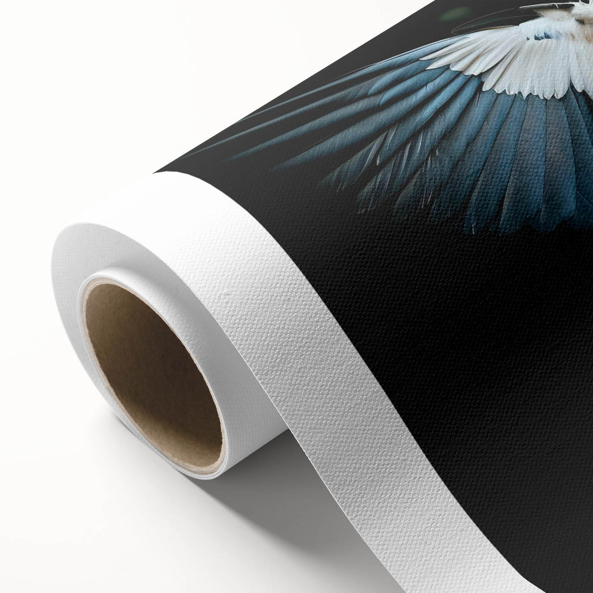 Tropical birds wall art collection featuring vibrant colors and intricate designs on rolled canvas, ideal for home decor and nature enthusiasts, packaged securely.