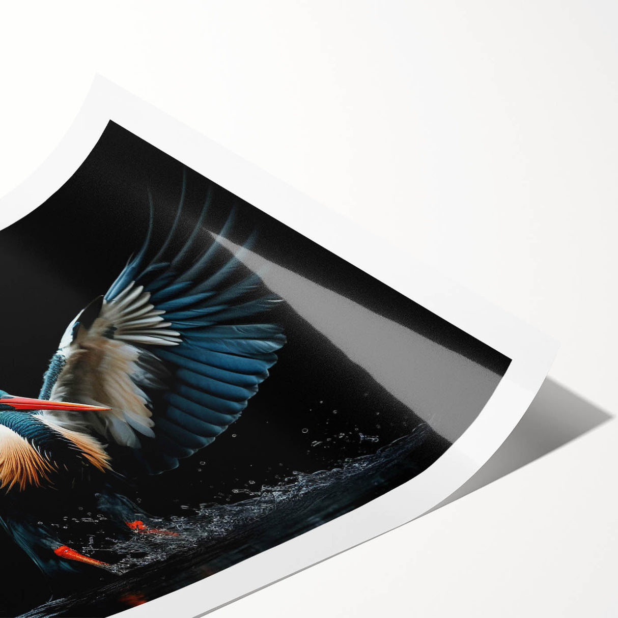 Tropical bird-themed wall art print showcasing vibrant colors and intricate designs, rolled for easy shipping and perfect for home decor. Ideal for nature enthusiasts.