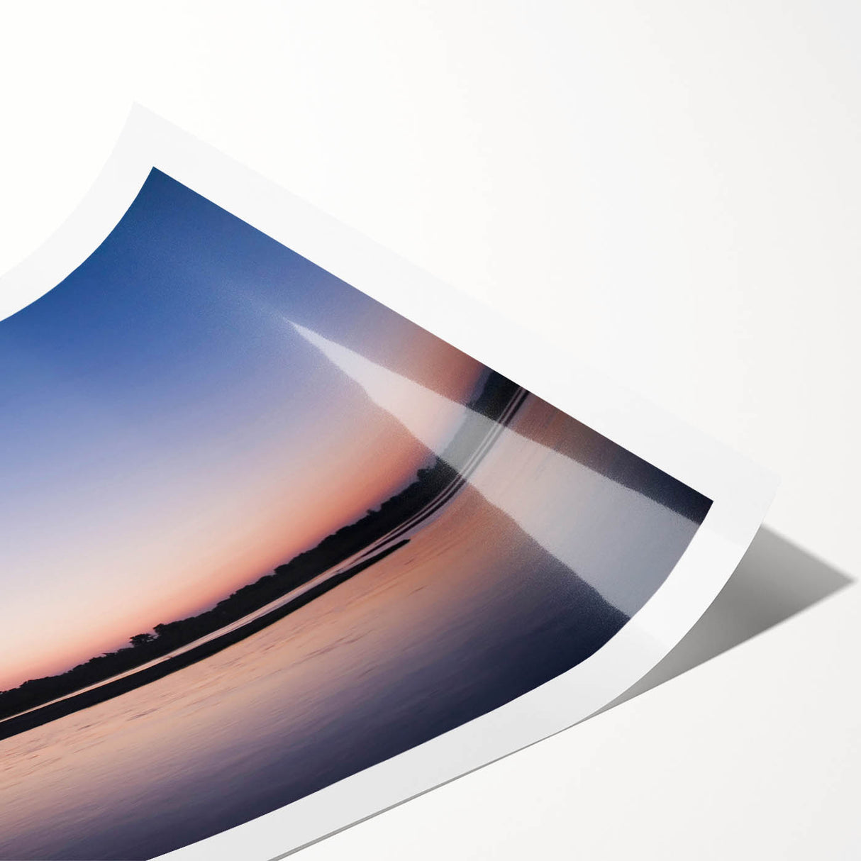 Extra large wall art featuring line art flowers in monochrome, printed on rolled canvas, suitable for large living room.