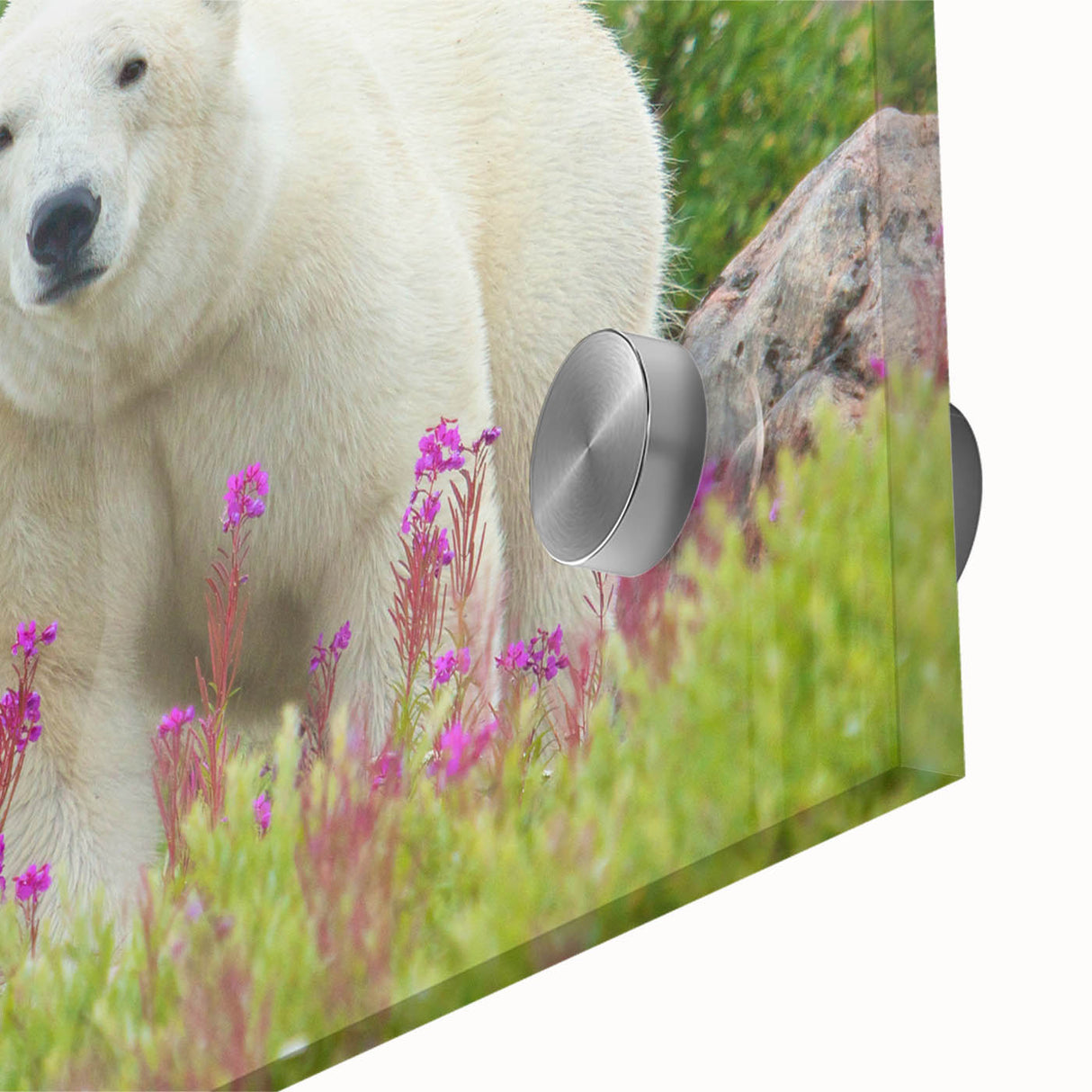 Acrylic print of a serene Manitoba landscape in muted green and blue tones, ideal for dining room decor.