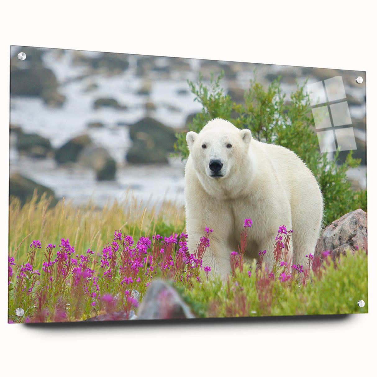 Abstract art print of Manitoba scenery in muted earth tones on acrylic glass, suitable for dining room decor.