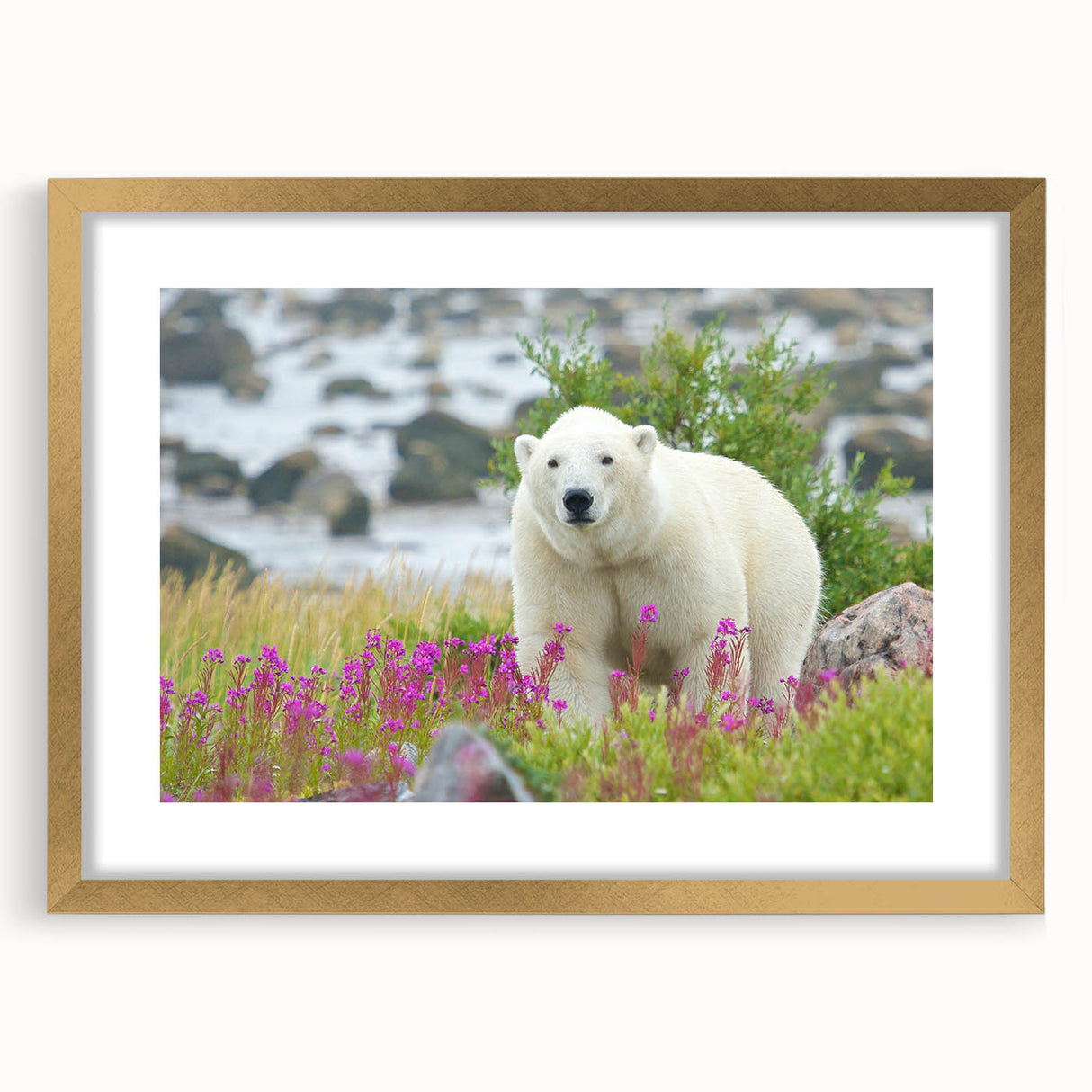 Extra large abstract art print depicting a colorful, textured scenery of Manitoba, framed in gold.