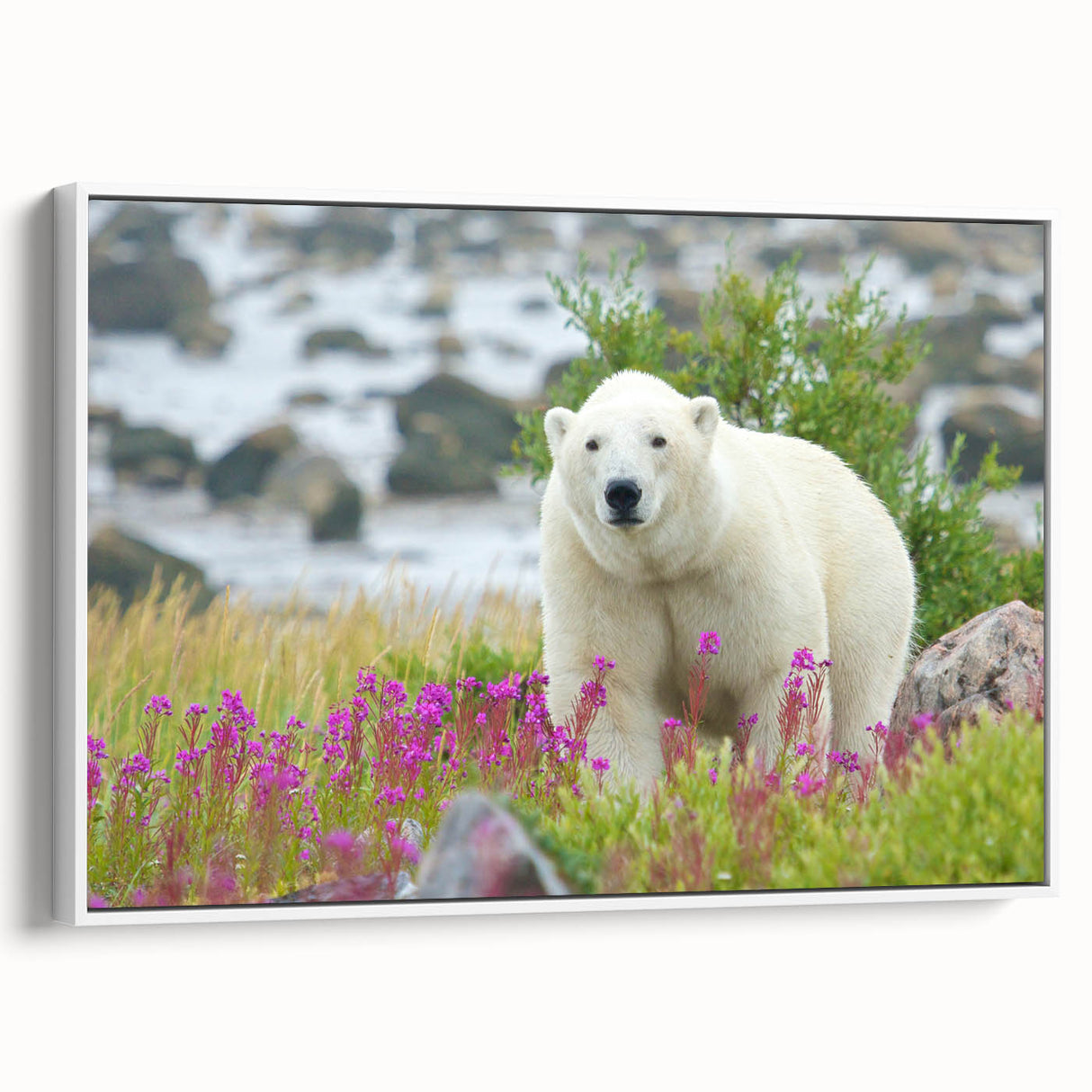 Vintage poster art of Manitoba scenery on framed canvas, featuring colorful art in extra large size.