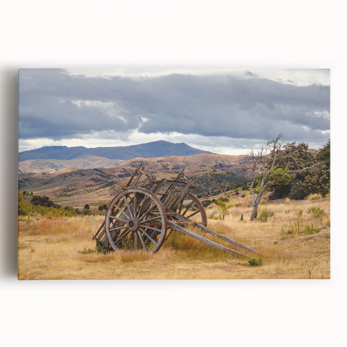 Black and white photo of Otago, New Zealand on stretched canvas, ideal for kitchen wall art.