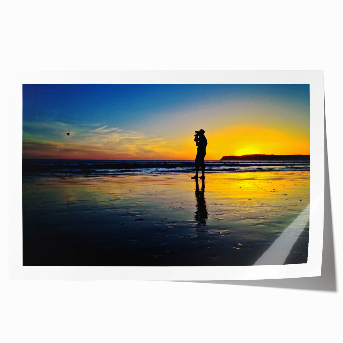 Rolled print of Coronado, California scenery with vibrant floral elements in pastel shades.