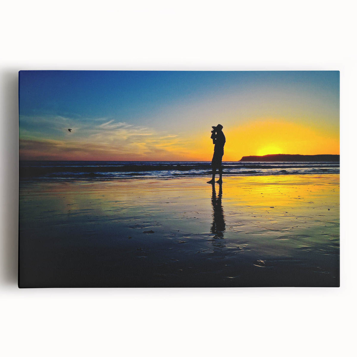 Black and white large art print of Coronado, California, on stretched canvas, ideal for kitchen wall art.