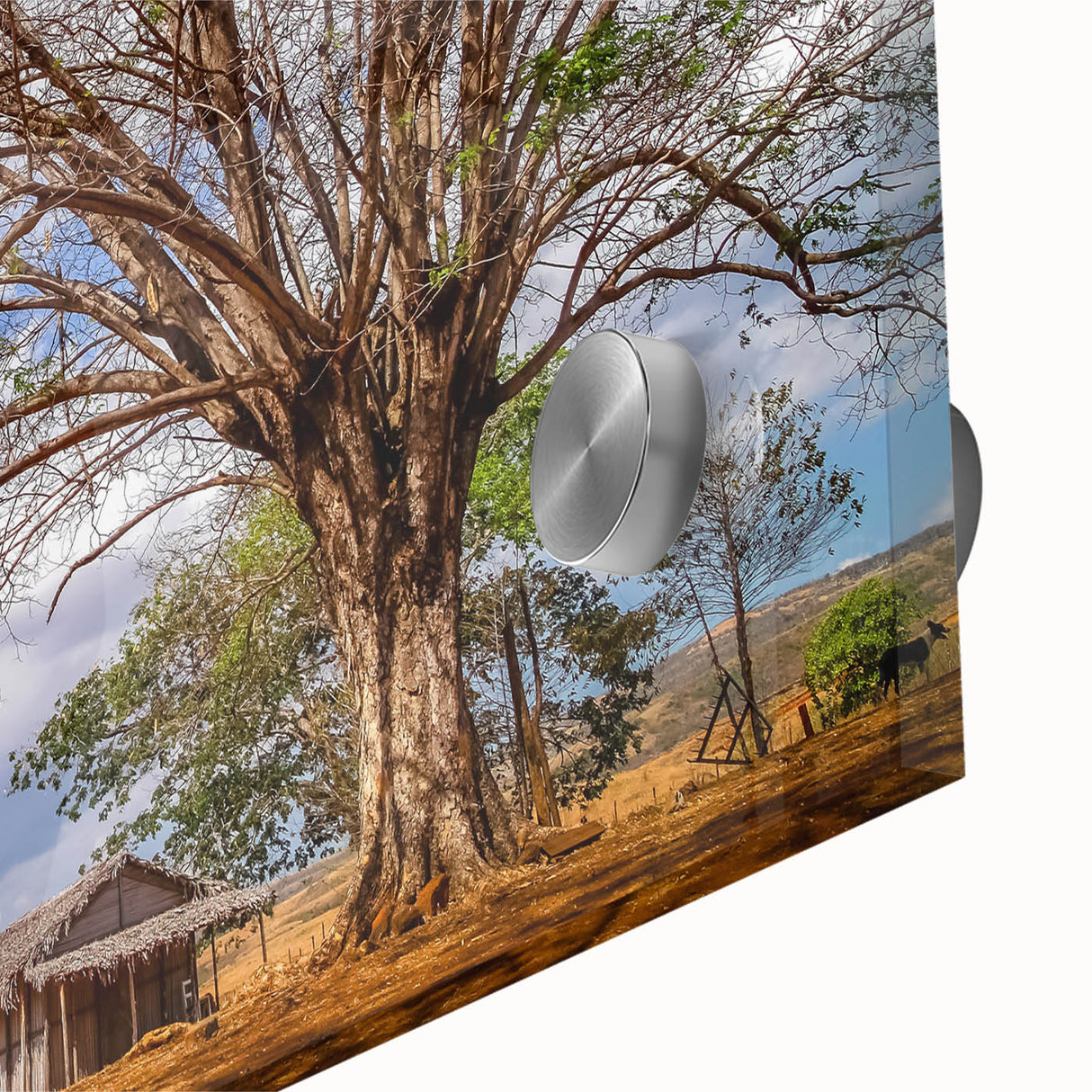 Large abstract depiction of Madagascar landscape in muted earth tones on acrylic glass, suitable for dining room art.