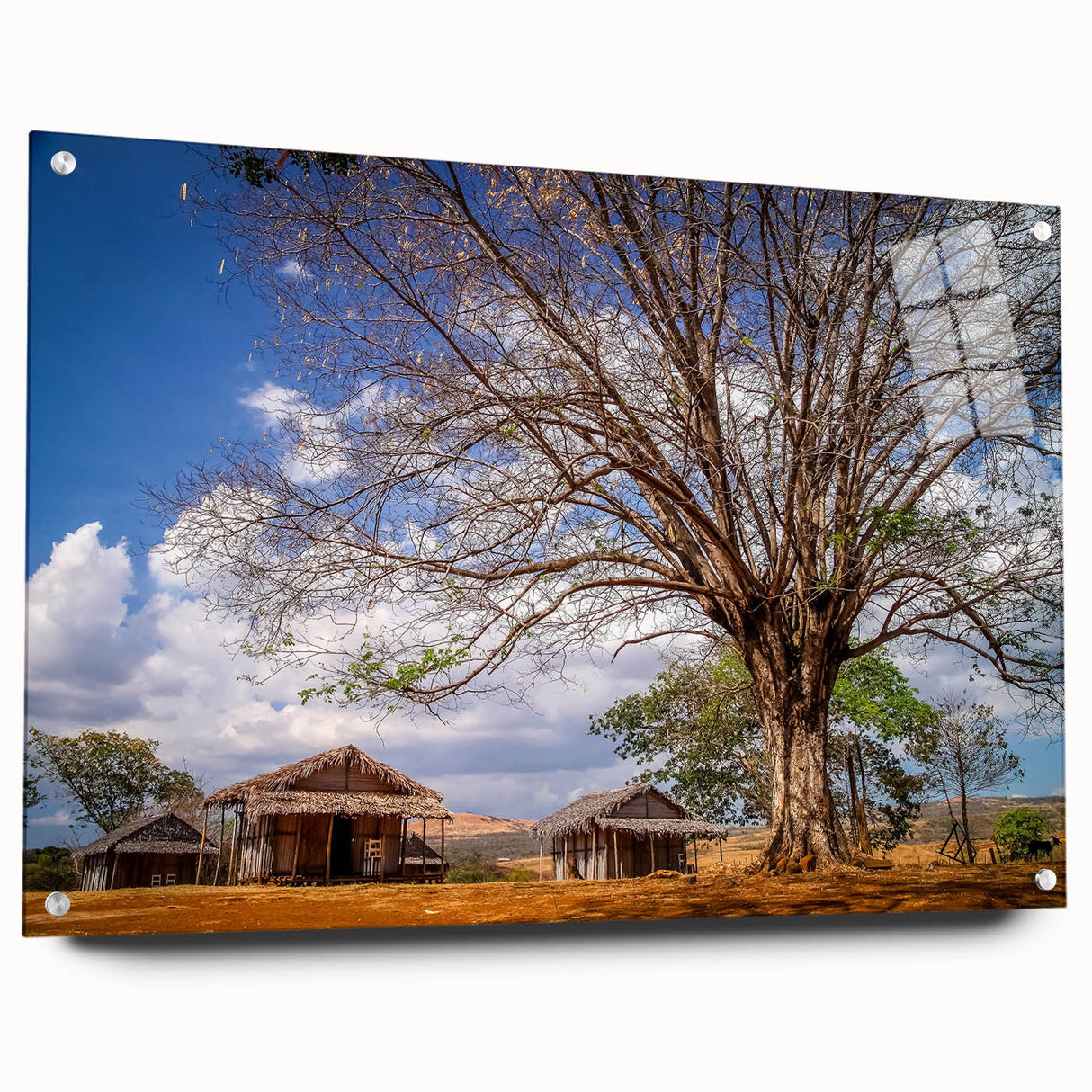 Large abstract wall art depicting a Madagascar scenery in muted earth tones on acrylic glass, ideal for dining room decor.