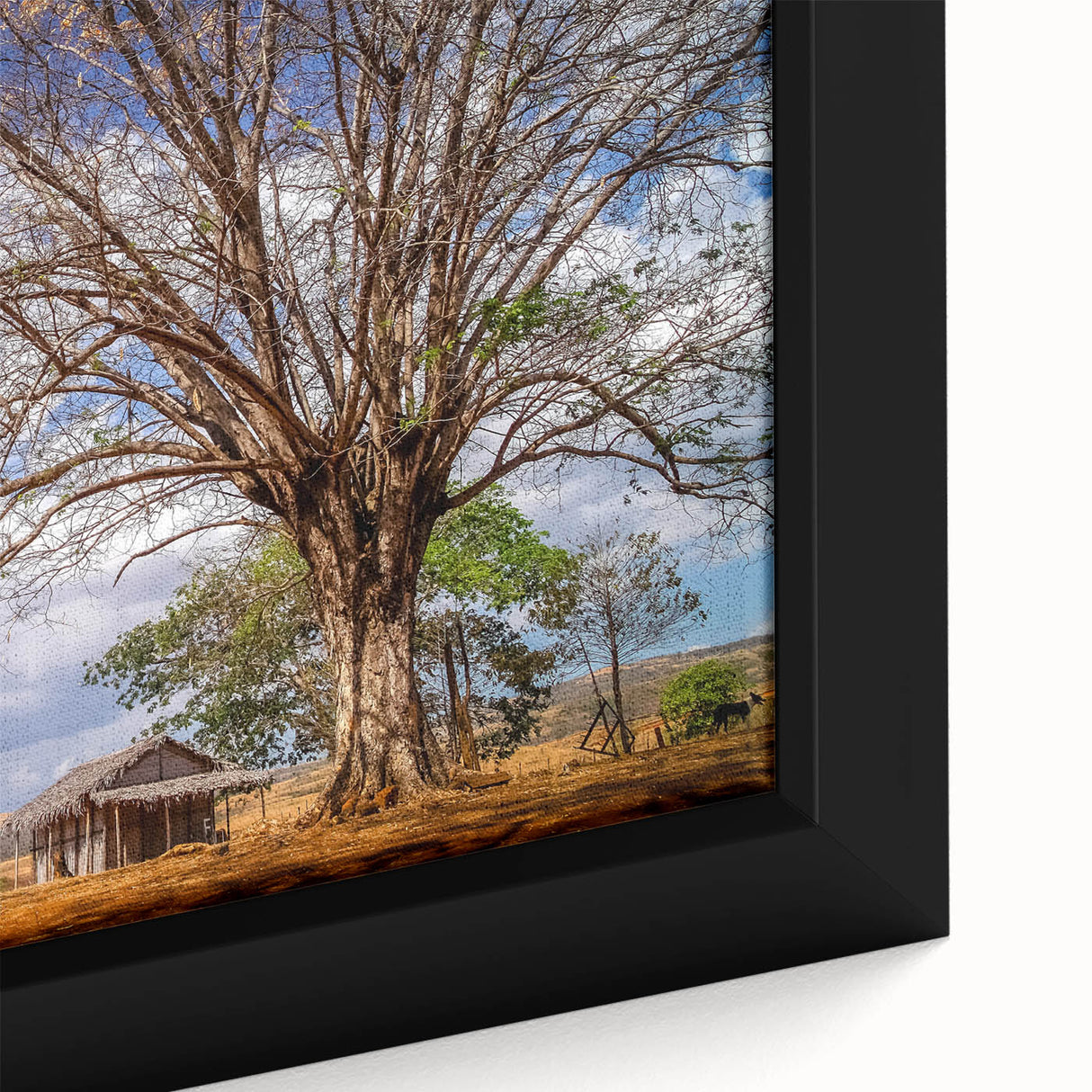 Extra large framed canvas featuring a textured depiction of Madagascar scenery in black with colorful art accents.