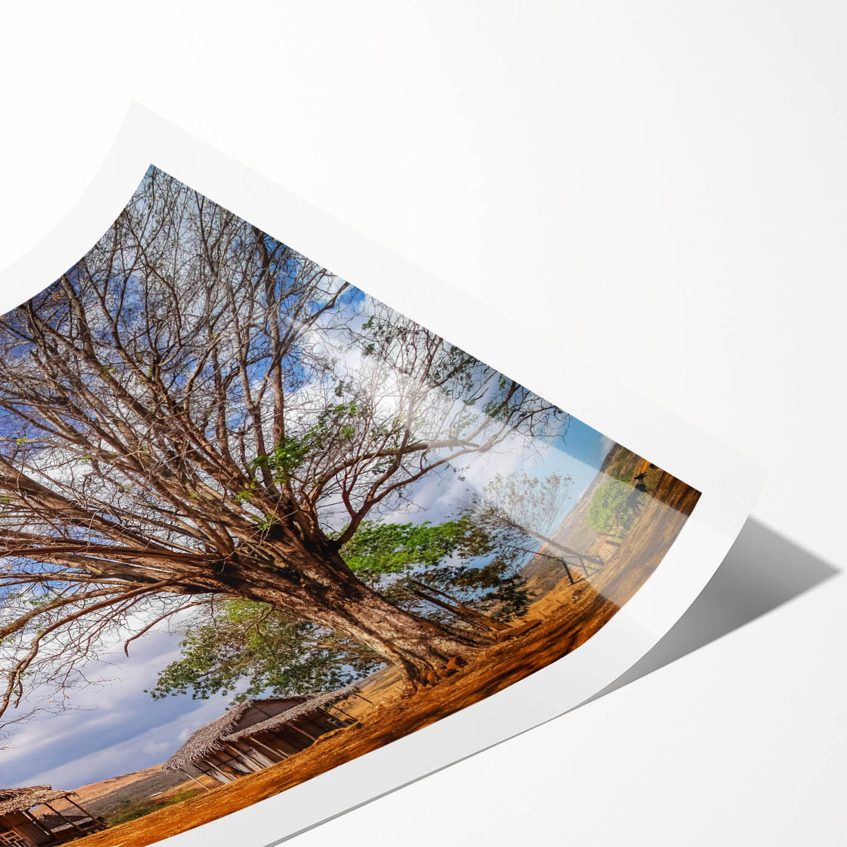 Extra large wall art featuring line art flowers in soft pastel hues on a rolled print, suitable for large living room decor.