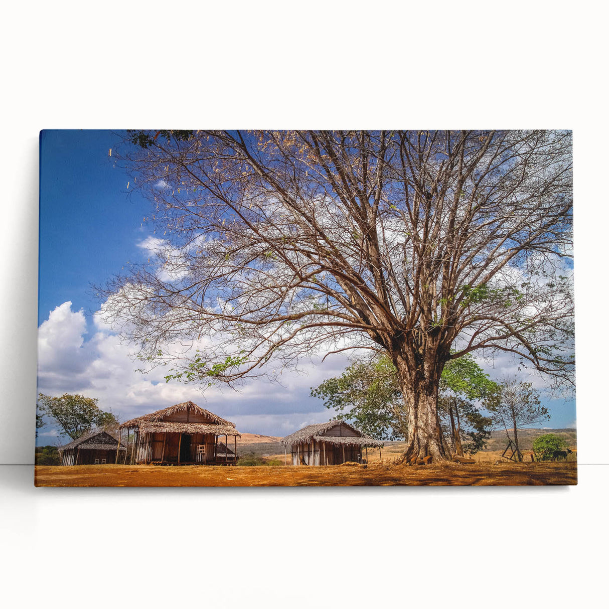 Black and white stretched canvas of Madagascar scenery, ideal for kitchen wall art or bedroom ambiance.