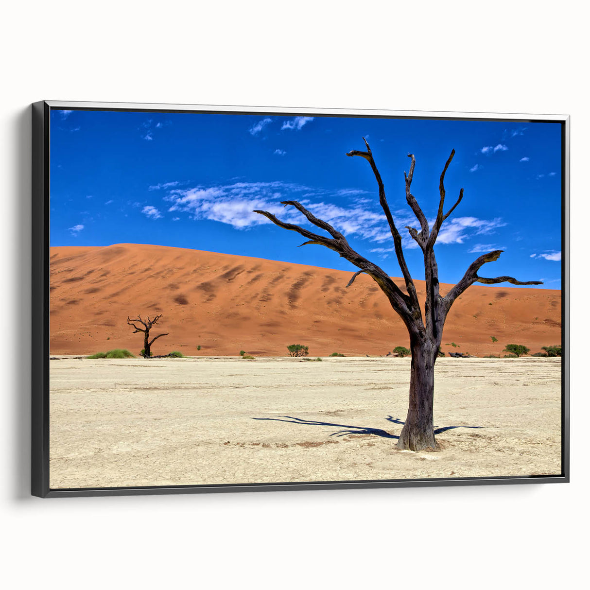 Black and white framed canvas depicting a Namibian landscape, ideal for bedroom wall art.